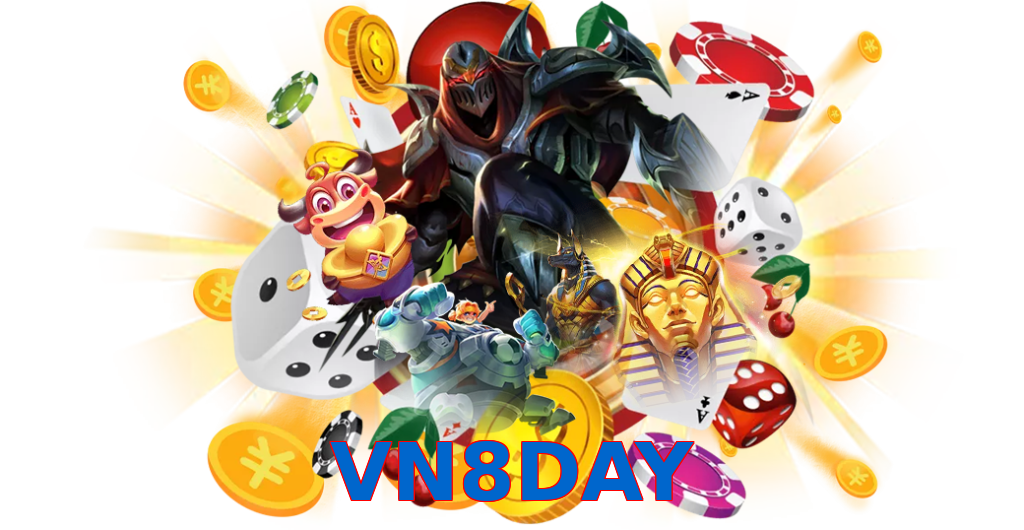 VN8DAY