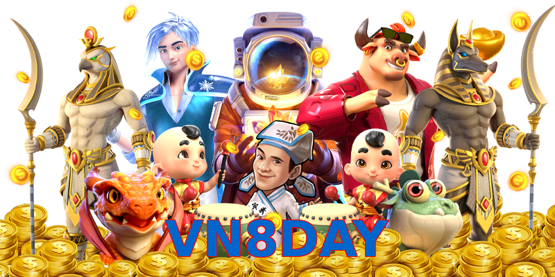 VN8DAY