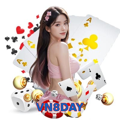 VN8DAY