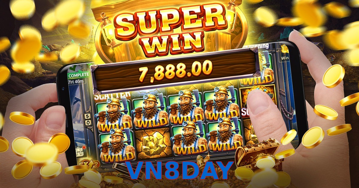 VN8DAY