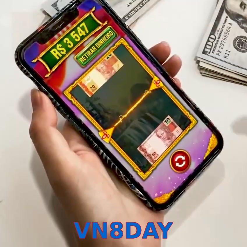 VN8DAY