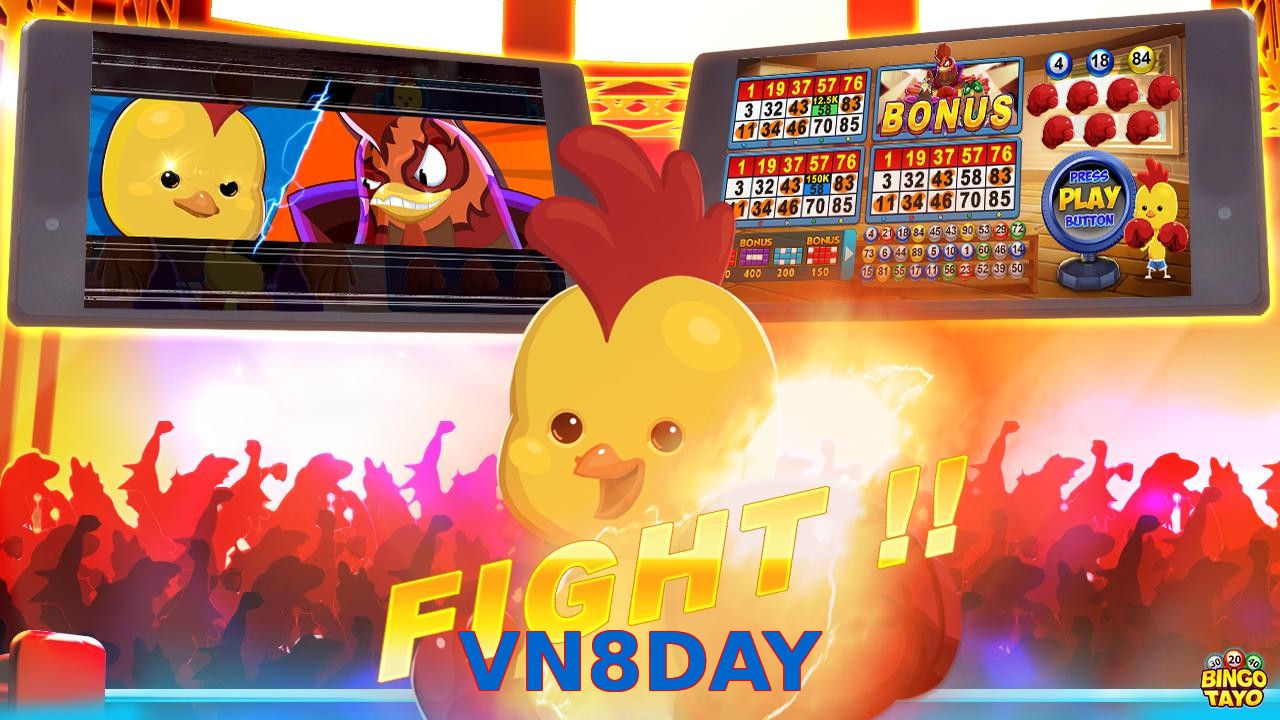 VN8DAY