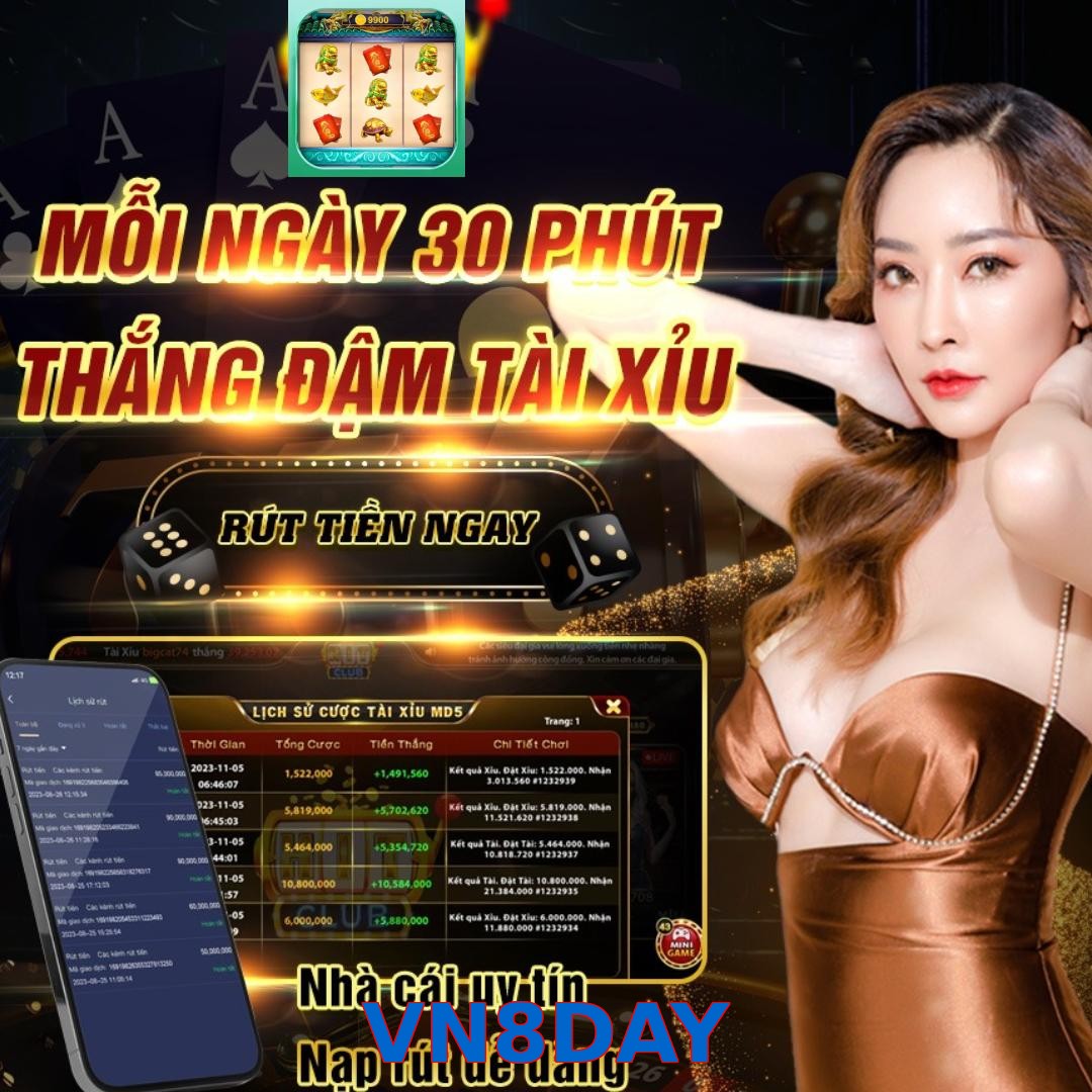 VN8DAY