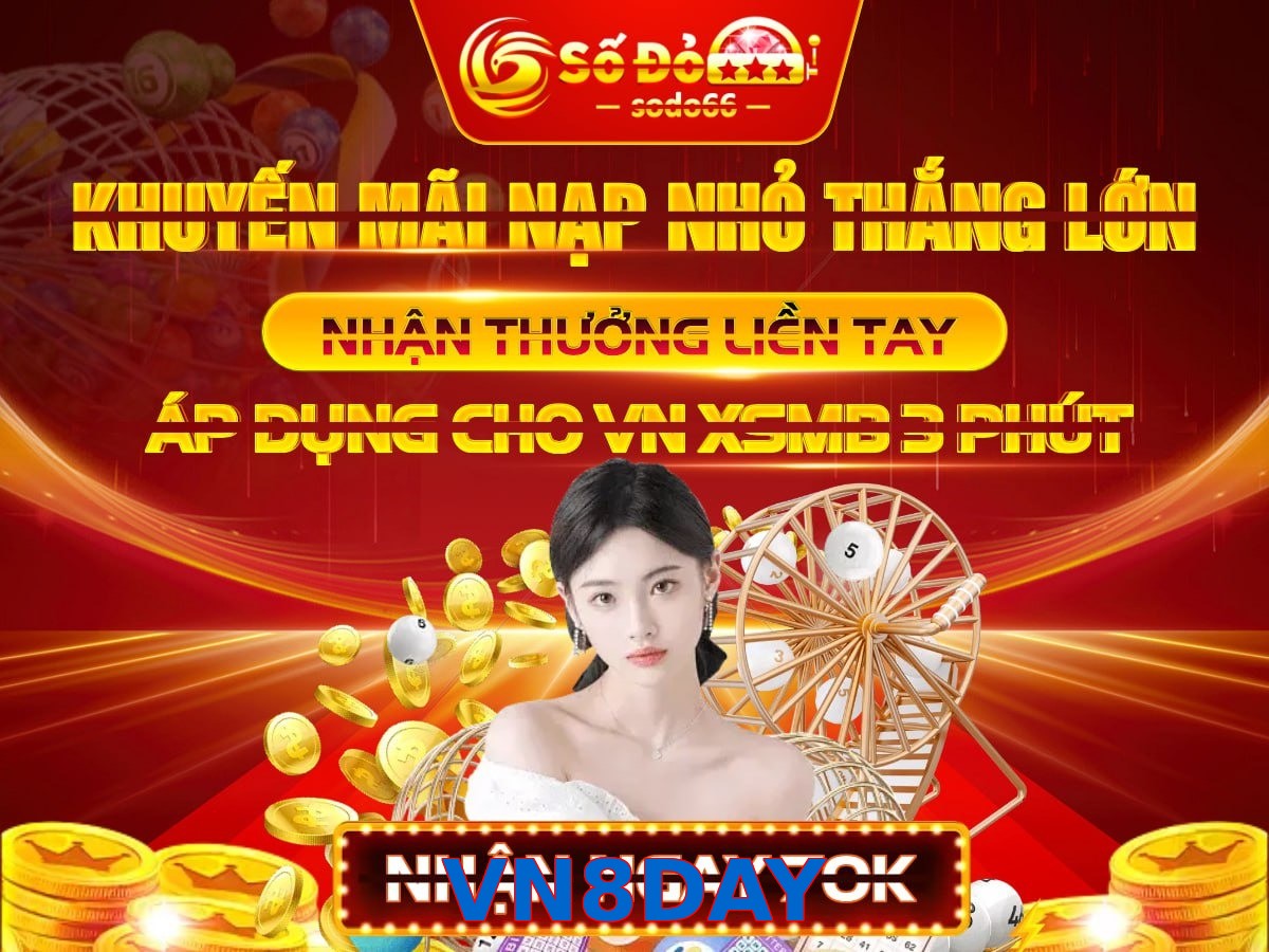 VN8DAY