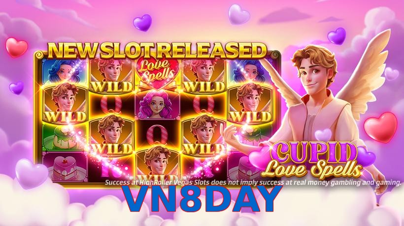 VN8DAY