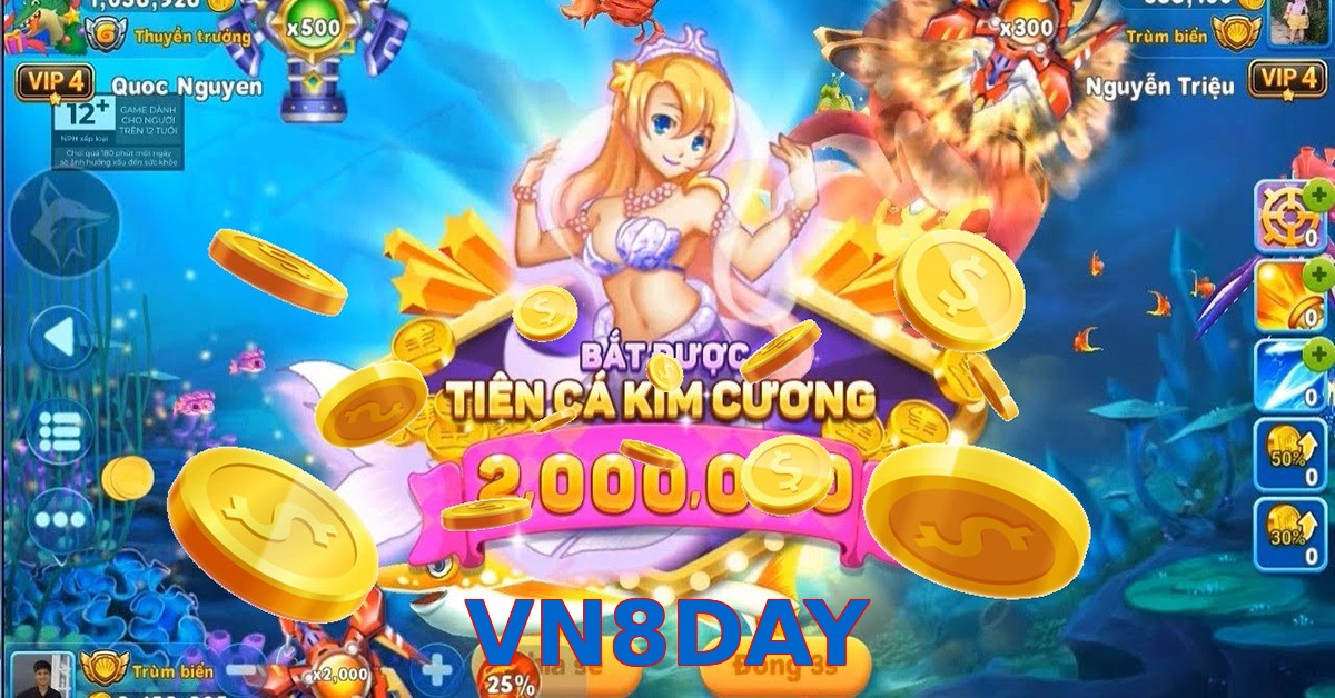VN8DAY