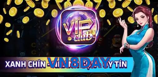 VN8DAY