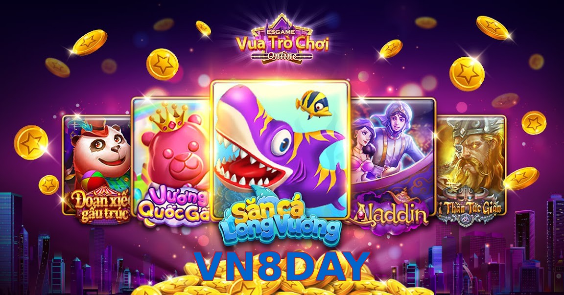VN8DAY