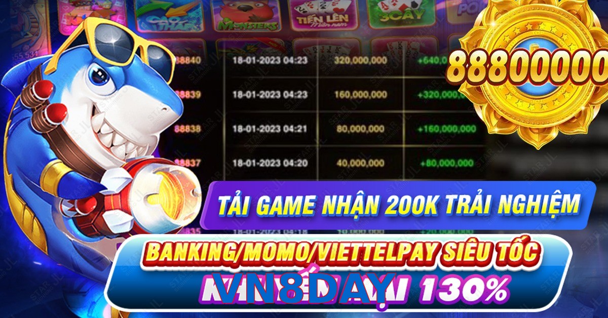 VN8DAY