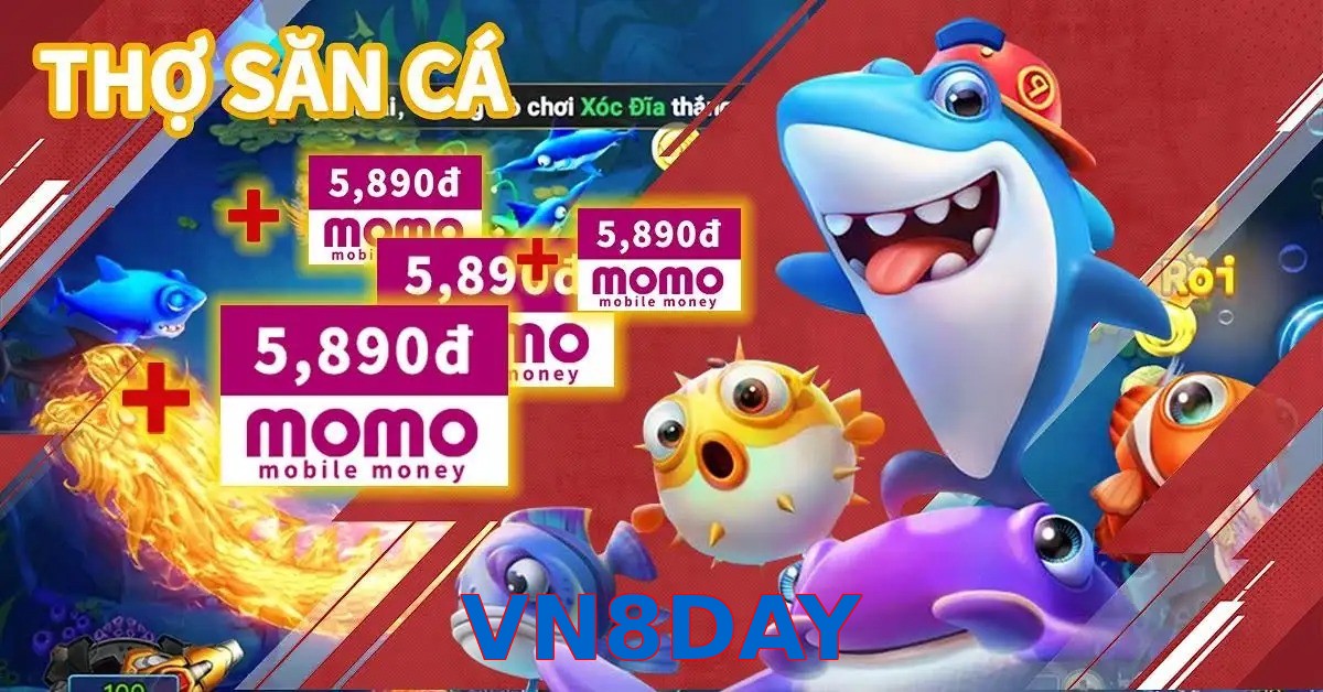 VN8DAY