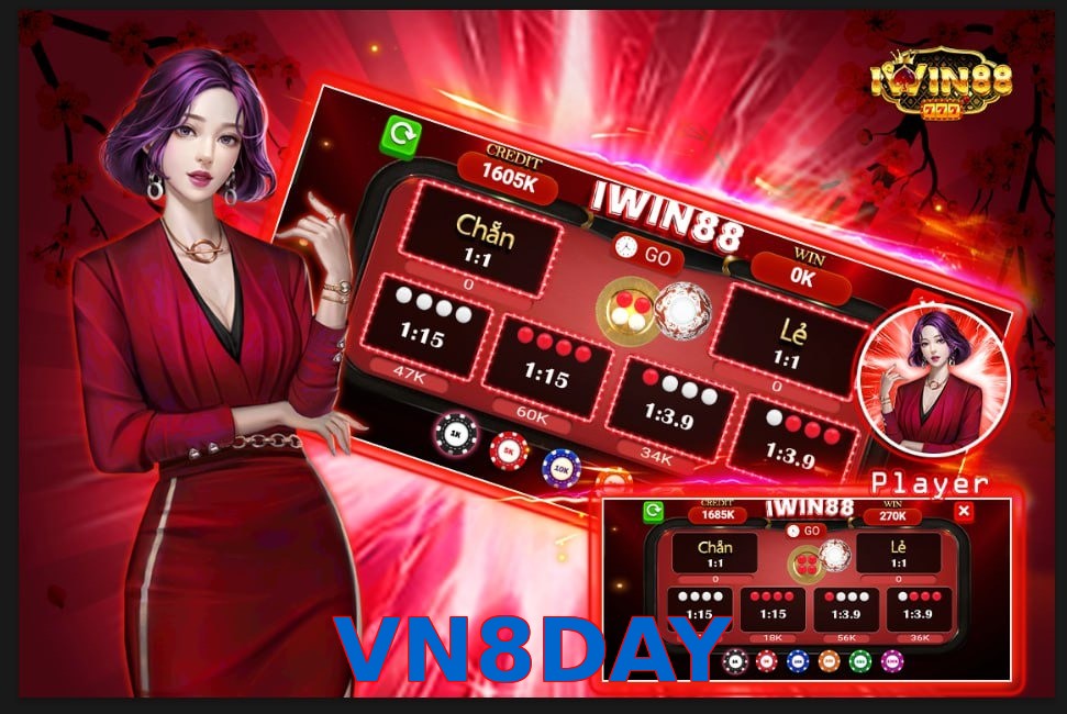 VN8DAY