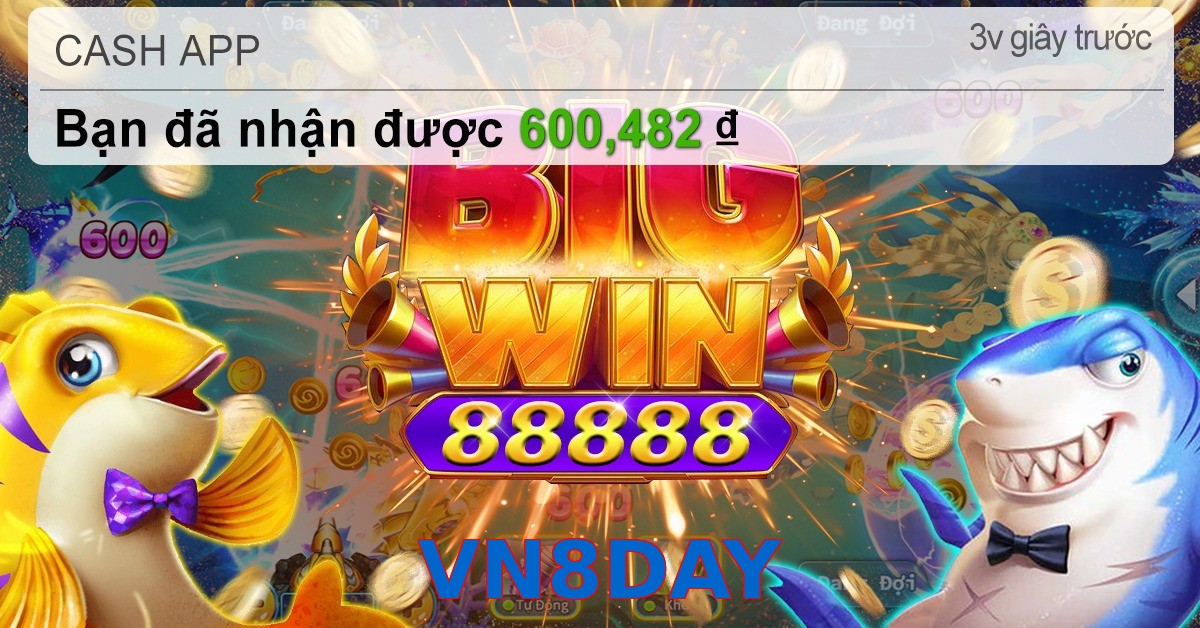 VN8DAY