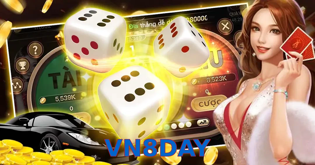 VN8DAY