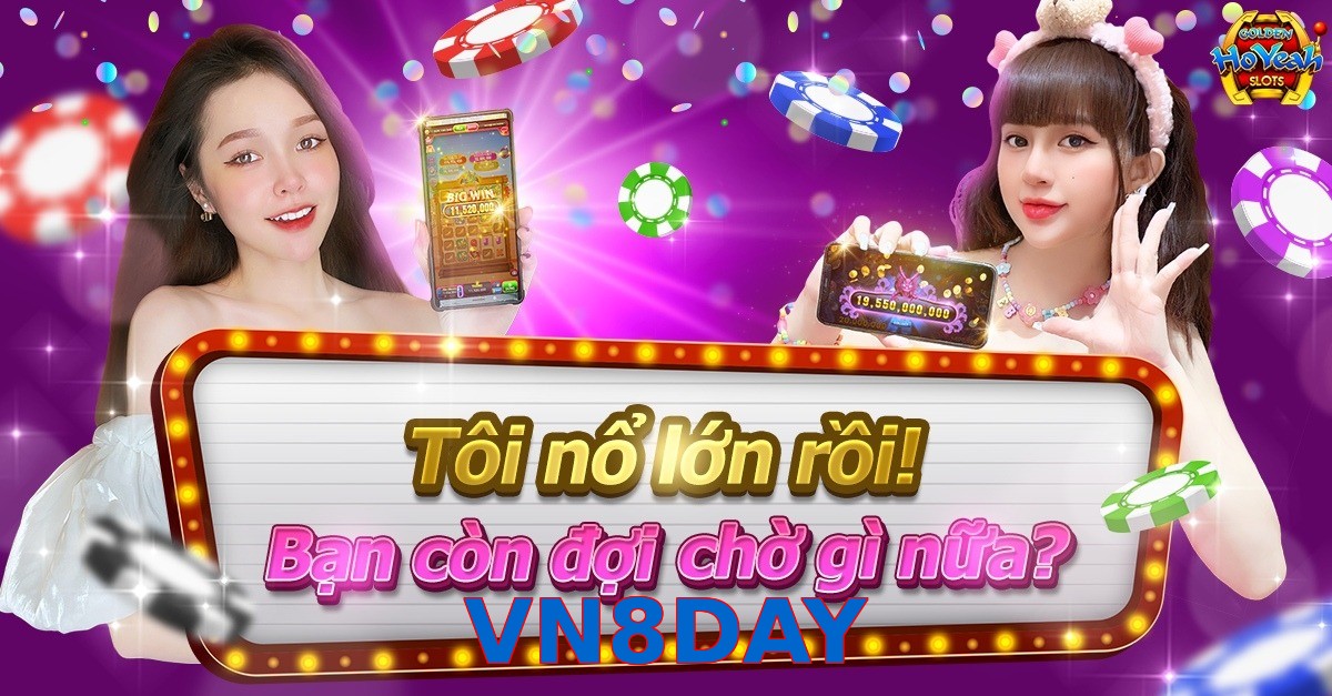 VN8DAY