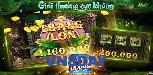 VN8DAY