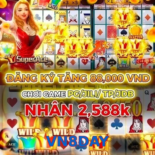 VN8DAY