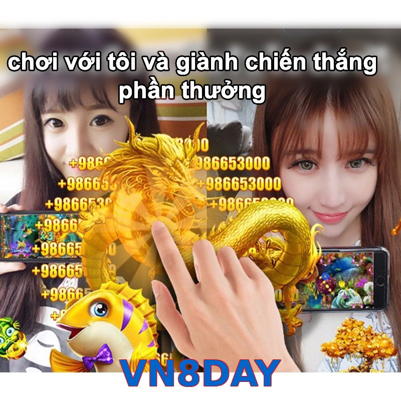 VN8DAY