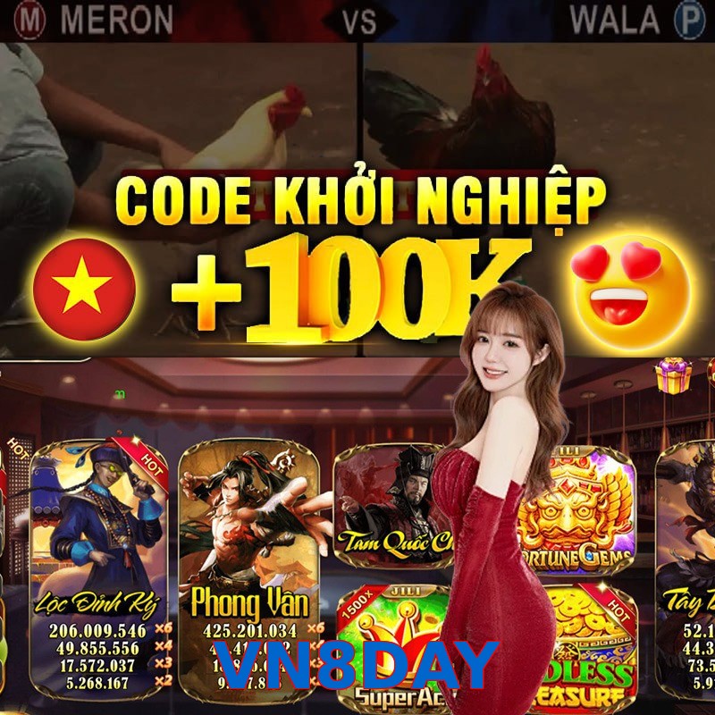 VN8DAY