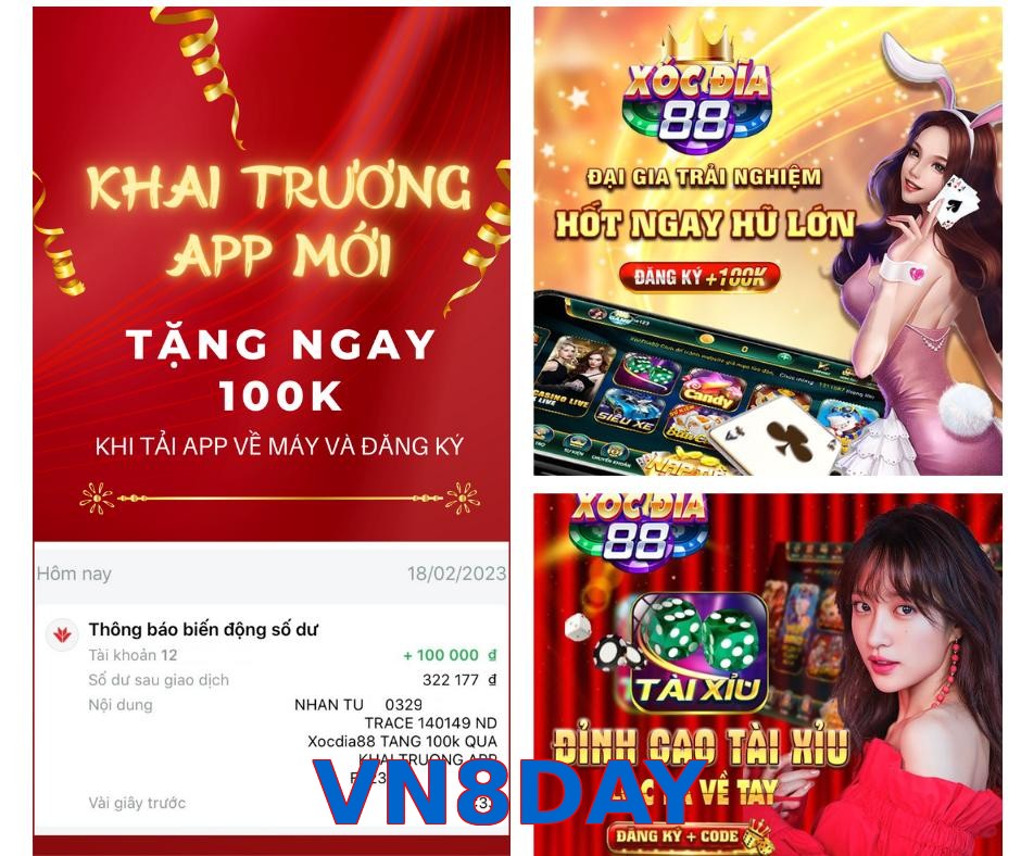 VN8DAY