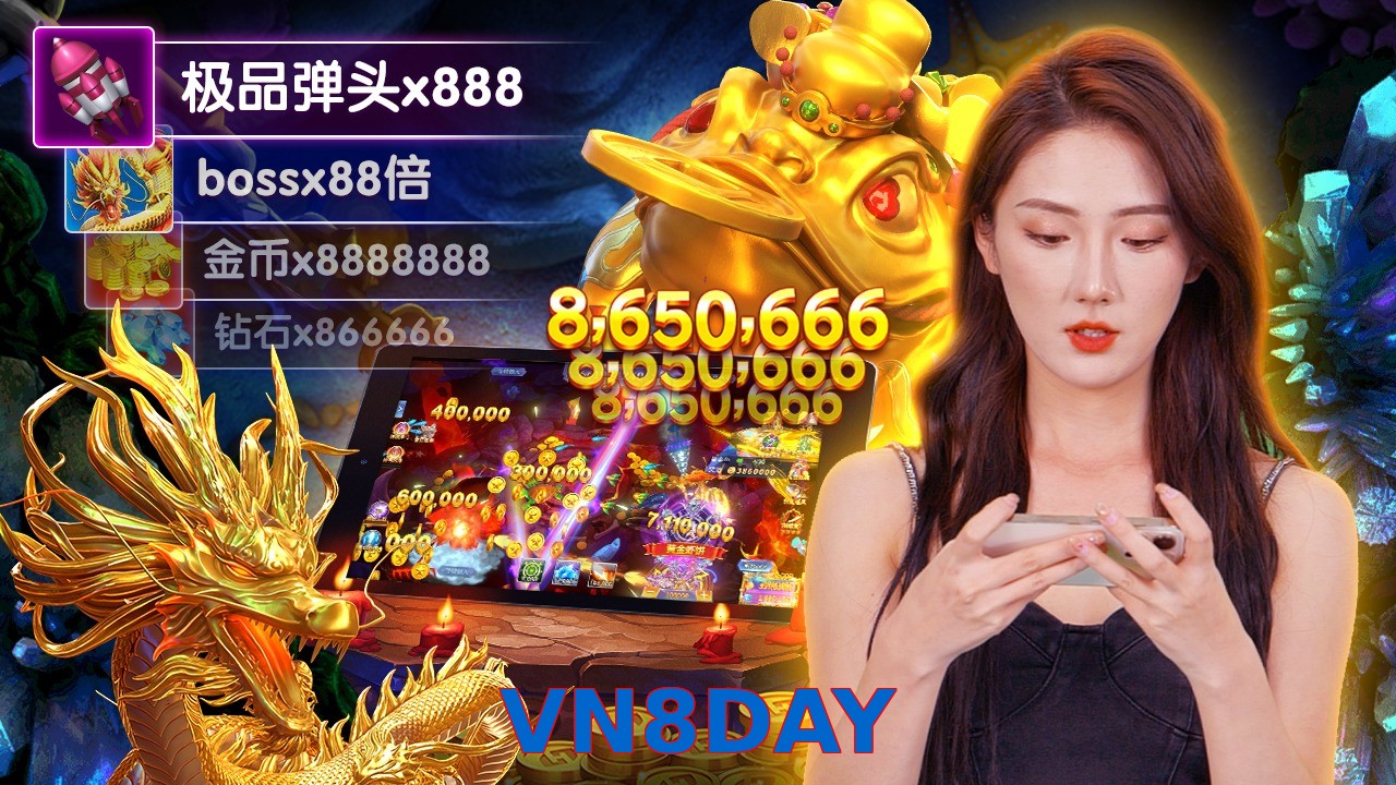 VN8DAY